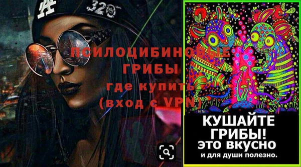 крисы Алексин