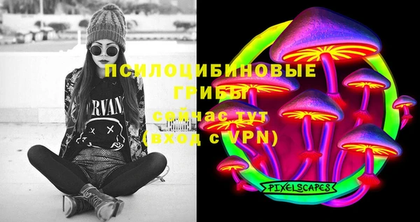 гашик Алексеевка