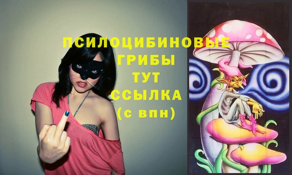 крисы Алексин