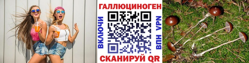 Псилоцибиновые грибы GOLDEN TEACHER Кола