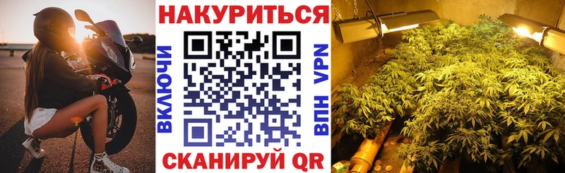 Марихуана OG Kush  Кола 